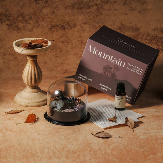 Wild Crystal Stone Diffuser Gift Box