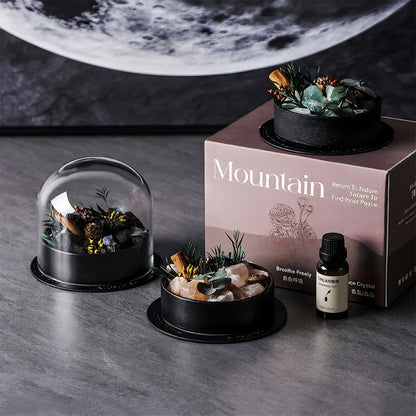Wild Crystal Stone Diffuser Gift Box