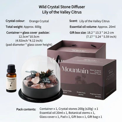 Wild Crystal Stone Diffuser Gift Box